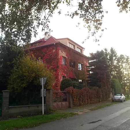 Guest house Sport 2*