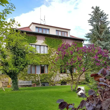 Sport Guest house